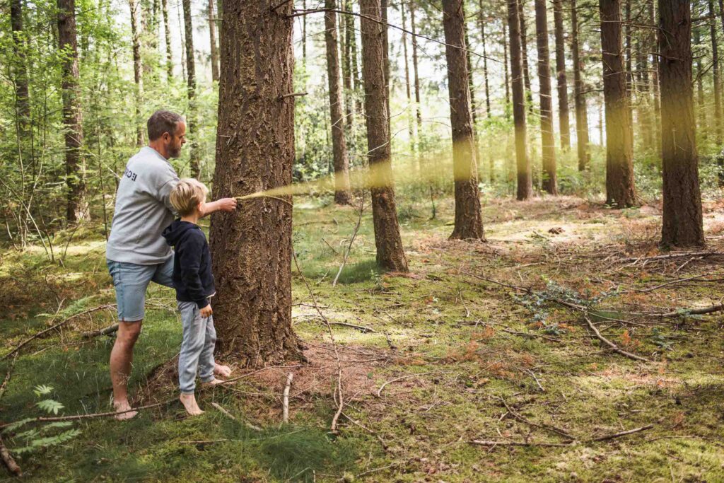 Een man en een kind genieten van buitenspelen in het bos, beiden op blote voeten, een boomstam meten met geel lint. De bosbodem is bedekt met mos en hoge bomen omringen hen met zonlicht dat door de bladeren filtert, wat hun ouderlijke avontuur versterkt.